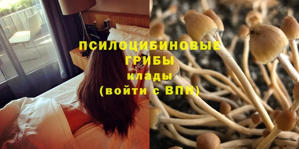 спайс Алзамай