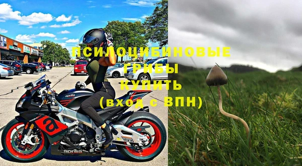 дурь Алексеевка