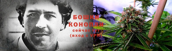 спайс Алзамай